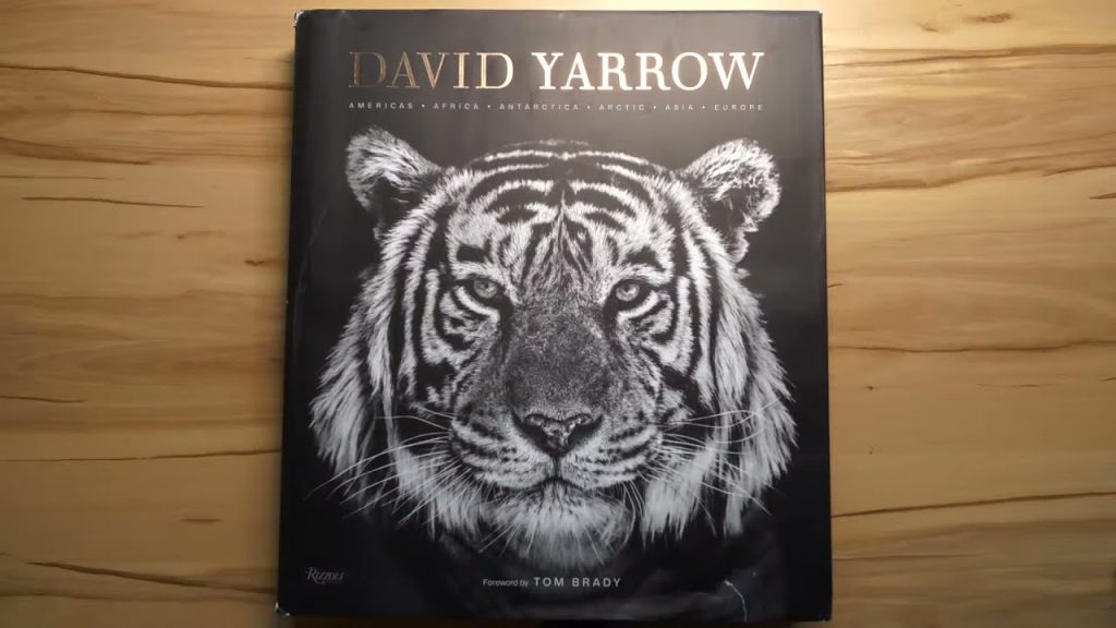 📷 LIV(R)E – David Yarrow (Youtube)