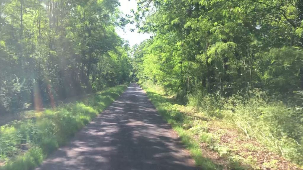 bed & historique motors video : Route de Sologne (Youtube)