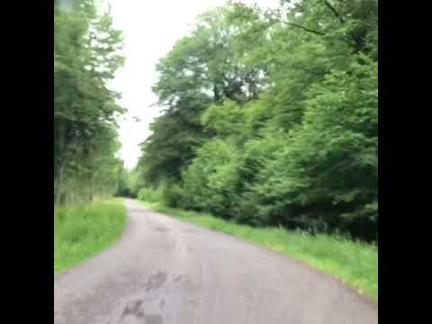 Image YouTube