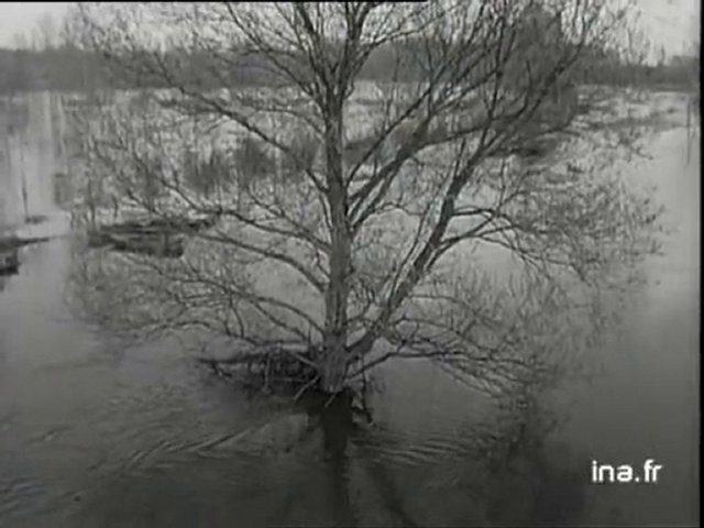 Sur Dailymotion (voitures anciennes seine et marne): Crues en Seine et Marne