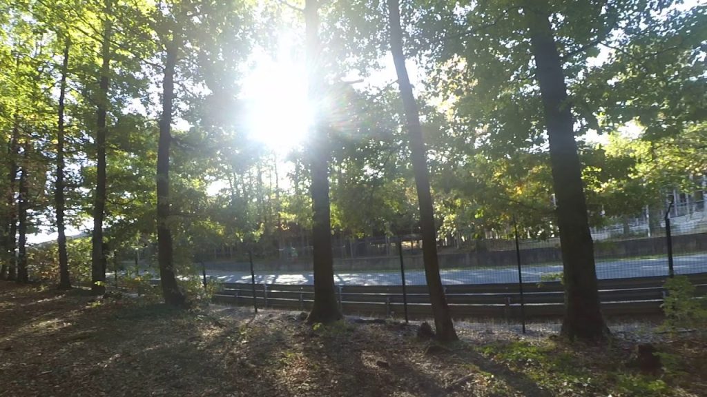 Les bolides du circuit de Montlhéry (circuit montlhery)