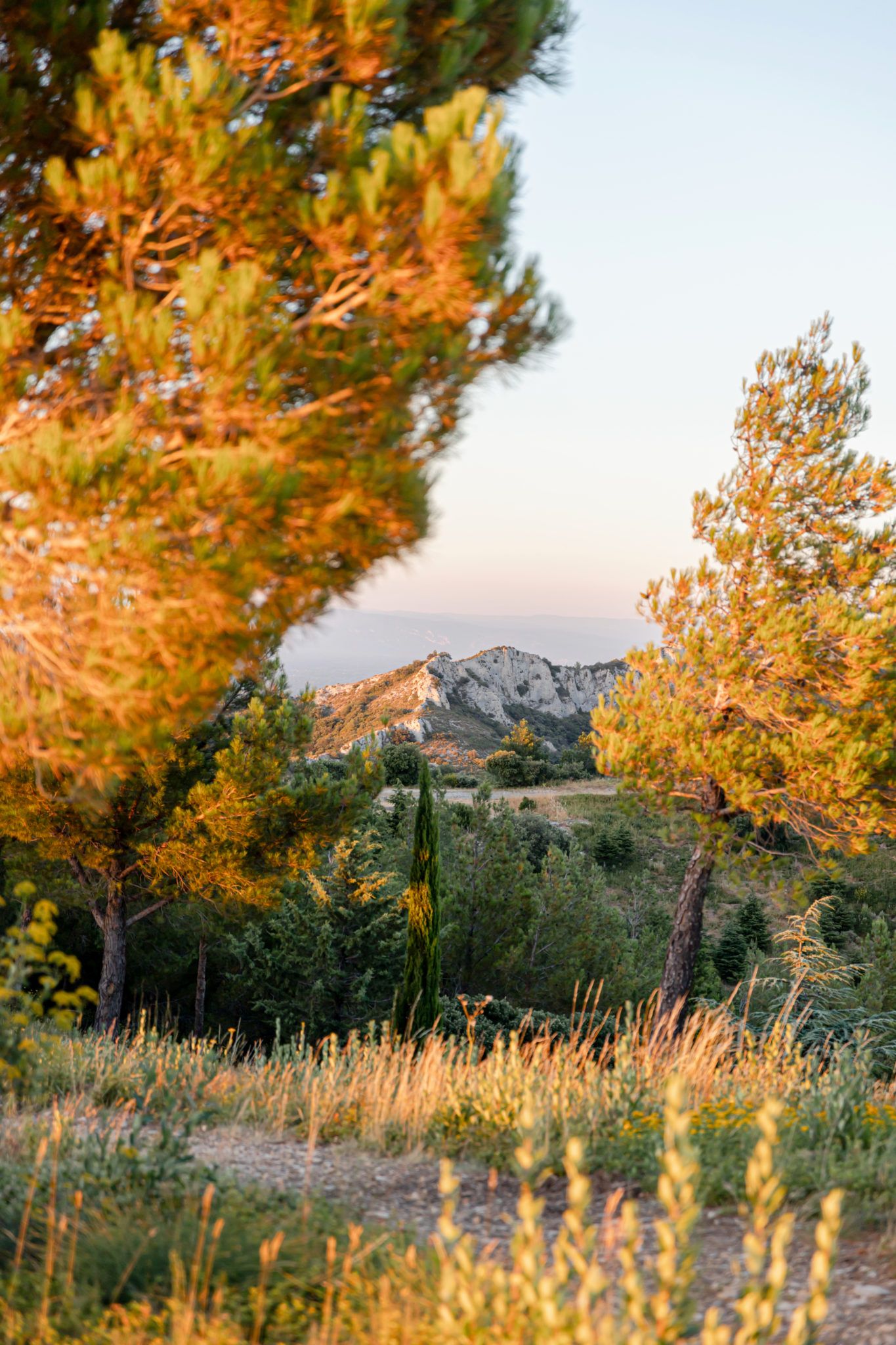 Pinterest Alpilles 🇫🇷