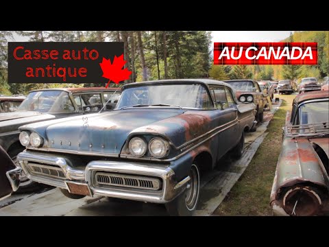 Image YouTube
