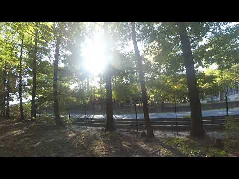 Image YouTube