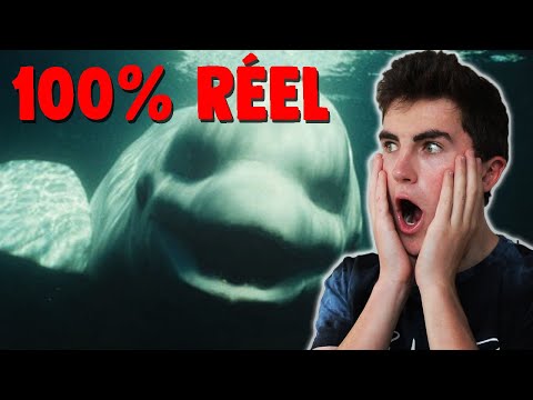 Image YouTube