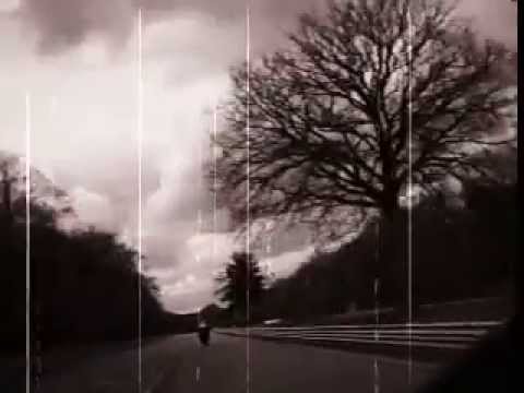 Image YouTube