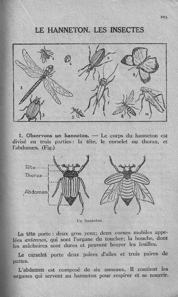 Grill, Mon premier livre de leçons de choses CP (1936, rééd. 1950) (Pinterest)