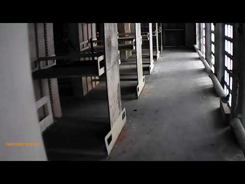 Image YouTube