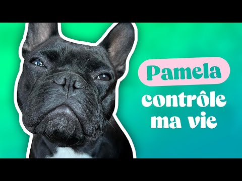 Image YouTube