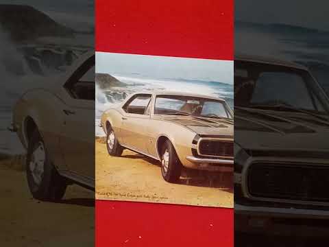 Image YouTube