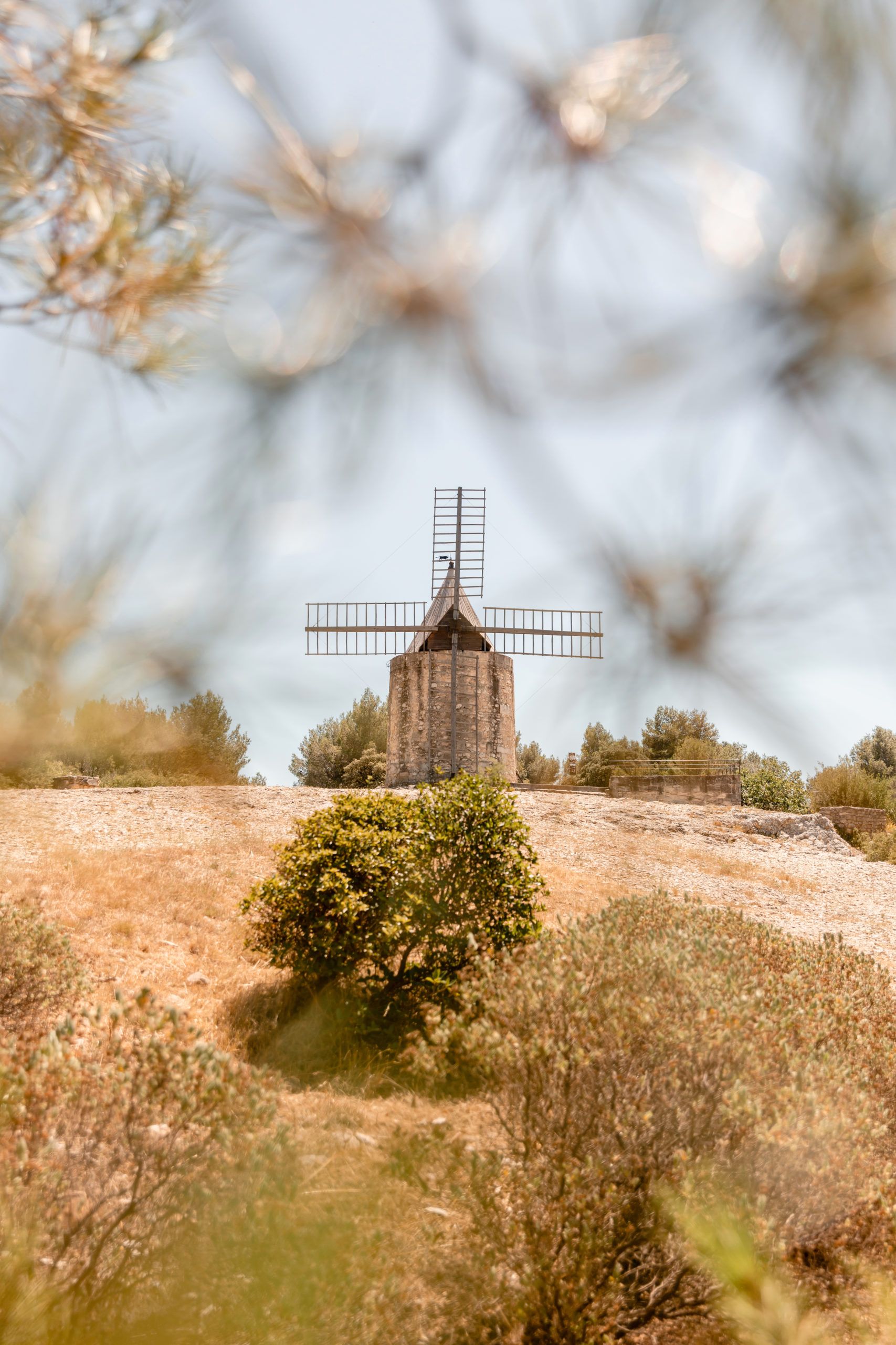 Pinterest Moulin Daudet