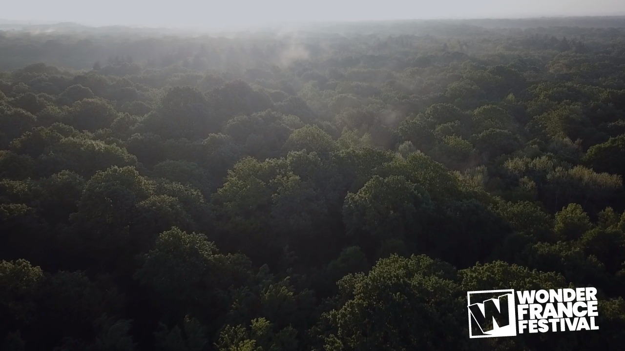 Vimeo Forêt de Seine-et-Marne (77)