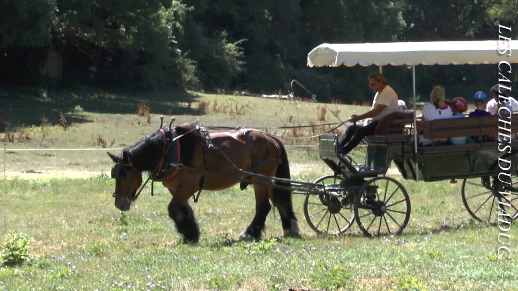 Les caleches du viaduc millau aveyron occitanie (Youtube)