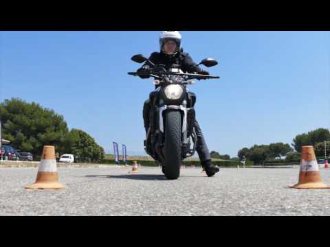 Image YouTube