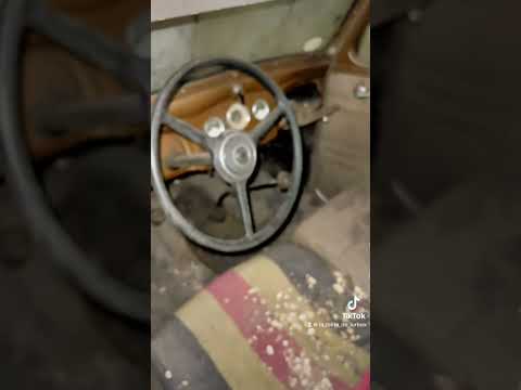 Image YouTube