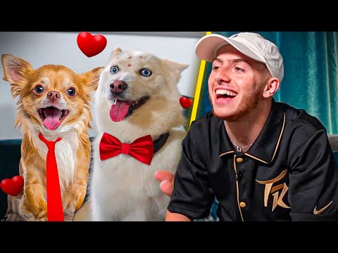 Image YouTube