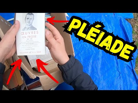 Image YouTube