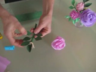 Vimeo Roses anciennes
