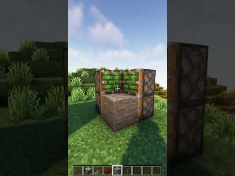 Image YouTube