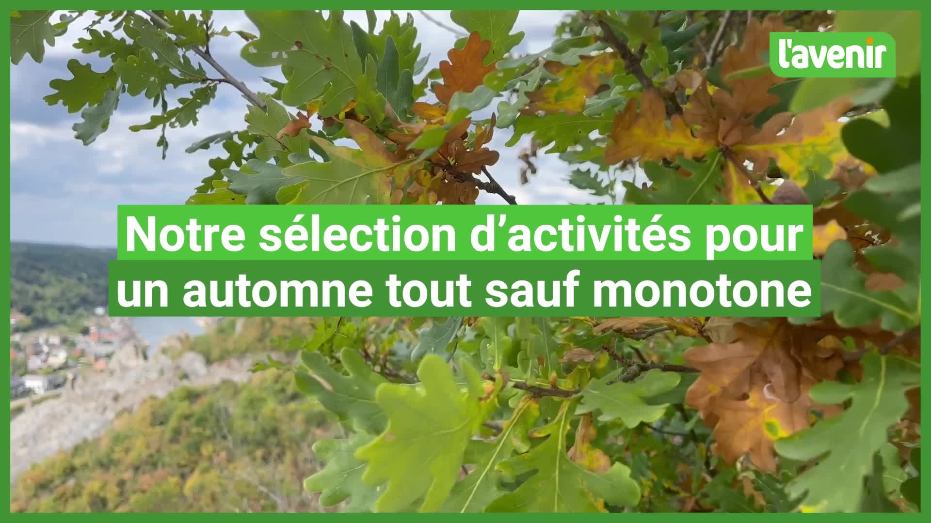 Vimeo VISITWallonia 21 septembre 2022