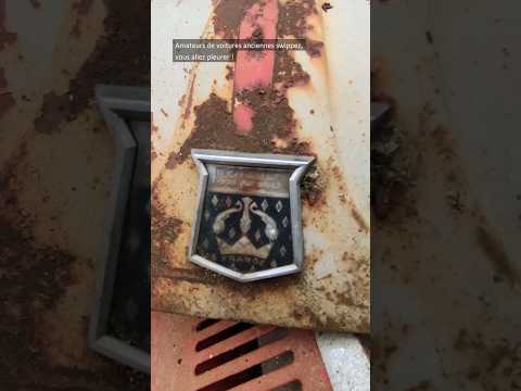 Image YouTube