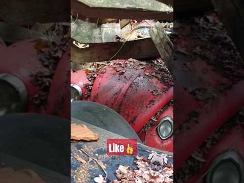 Image YouTube