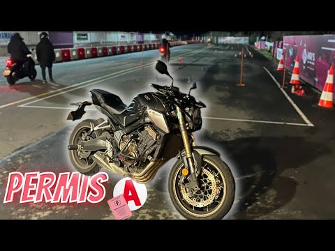 Image YouTube