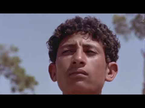 Image YouTube
