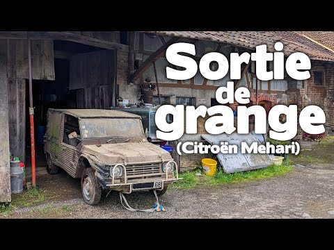Image YouTube