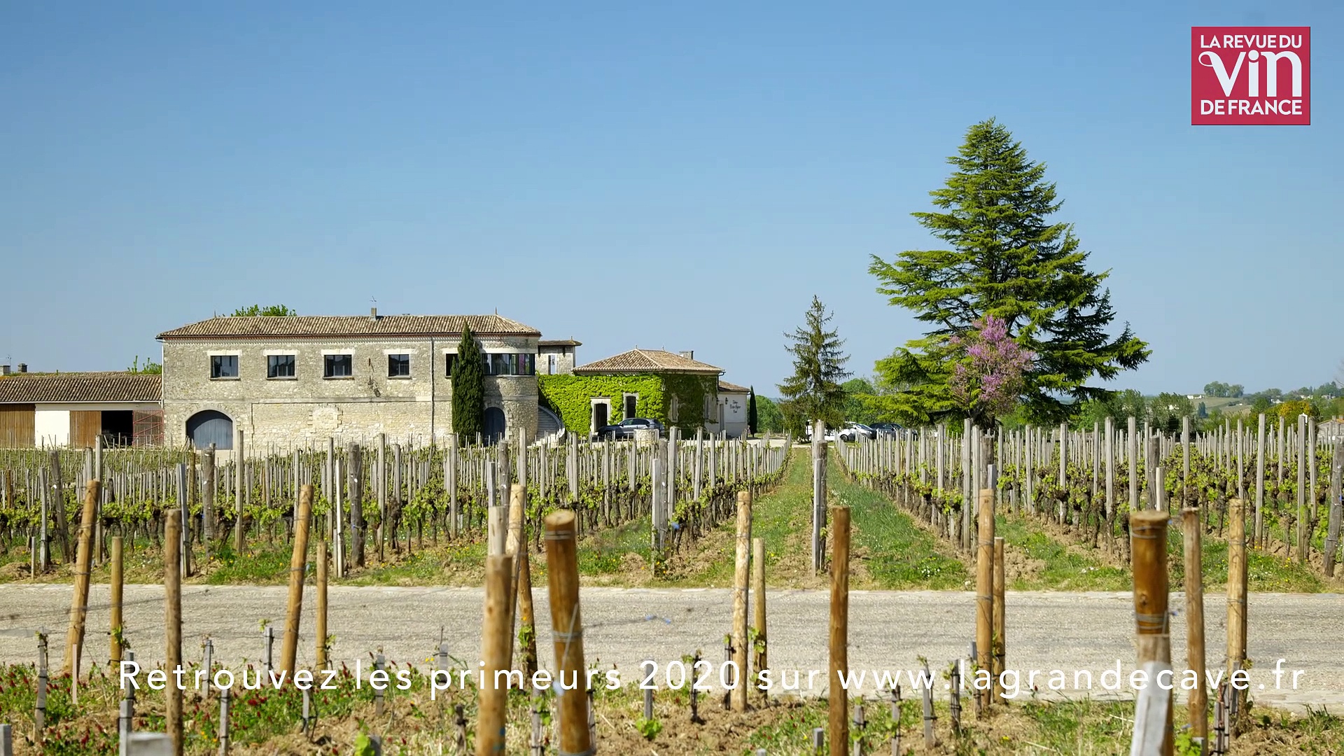 Vimeo Avec 2020, Saint-&Eacute;milion livre un tr&egrave;s beau mill&eacute;sime de terroir