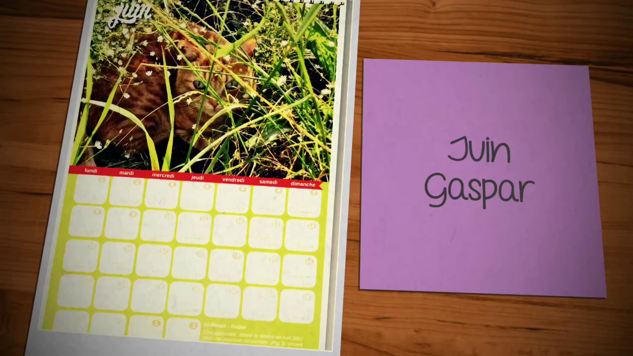 Vimeo Calendrier 2015