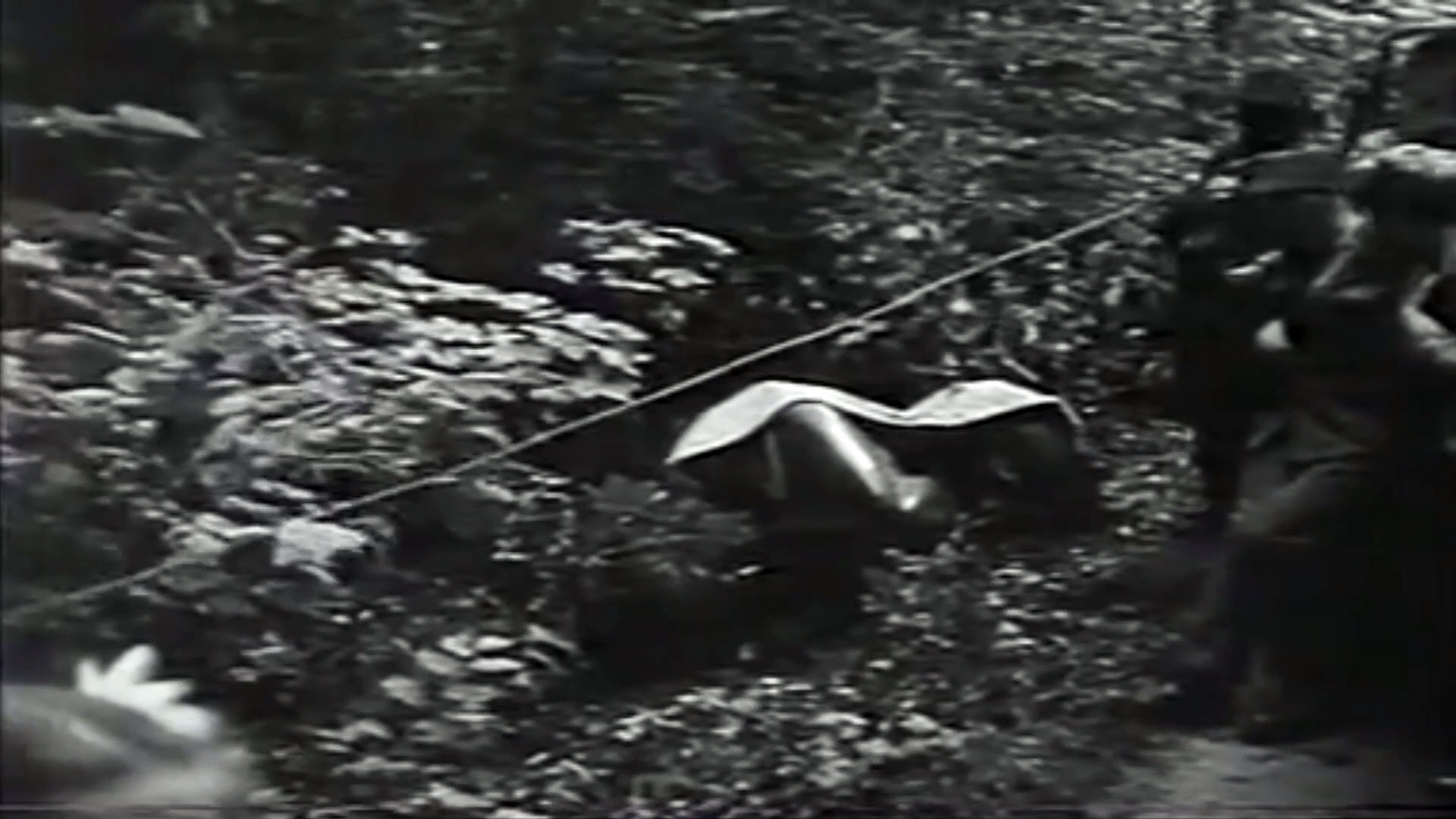 Vimeo Christian Kautz's Fatal Crash @ Bremgarten 1948 (Aftermath)