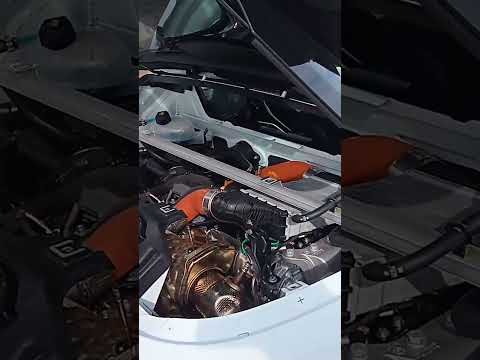 Image YouTube