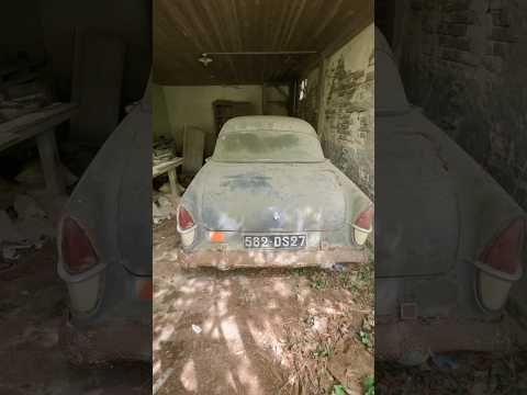 Image YouTube