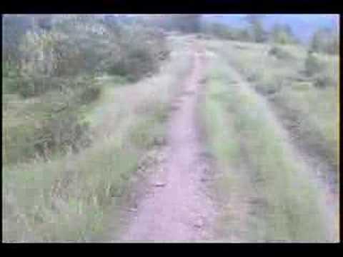 Image YouTube