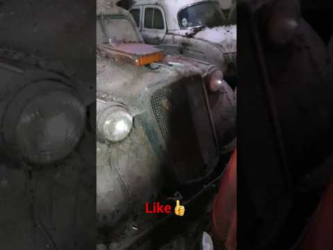 Image YouTube
