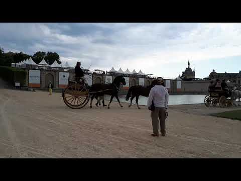 Image YouTube