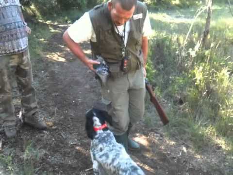 Image YouTube