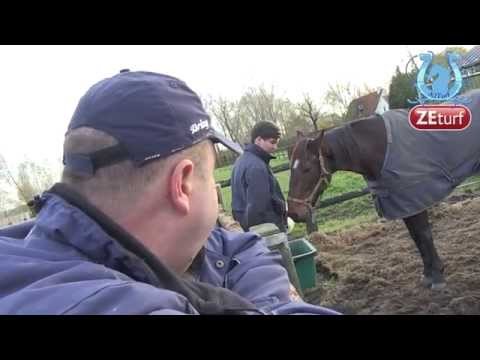 Image YouTube