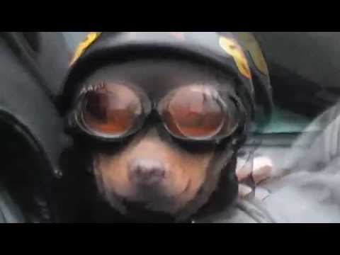 Image YouTube