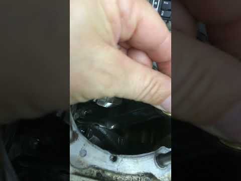 Image YouTube