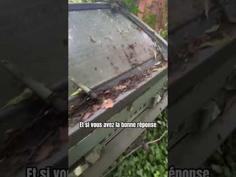 Image YouTube