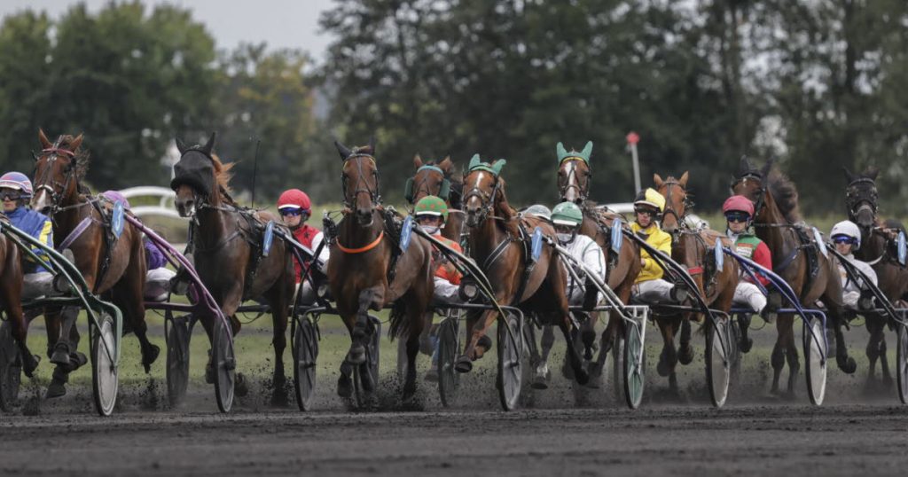 Hoerdt. Animations pour enfants et voitures anciennes à la fête de l’hippodrome dimanche 7 juin