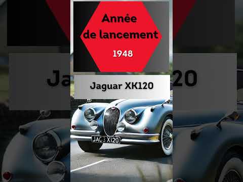 Image YouTube