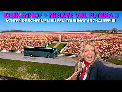 Image YouTube