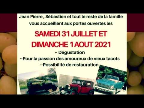 Image YouTube