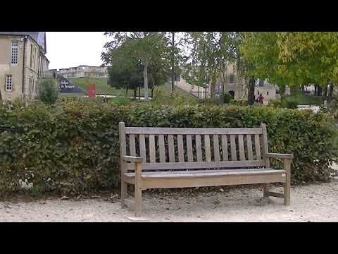 Image YouTube