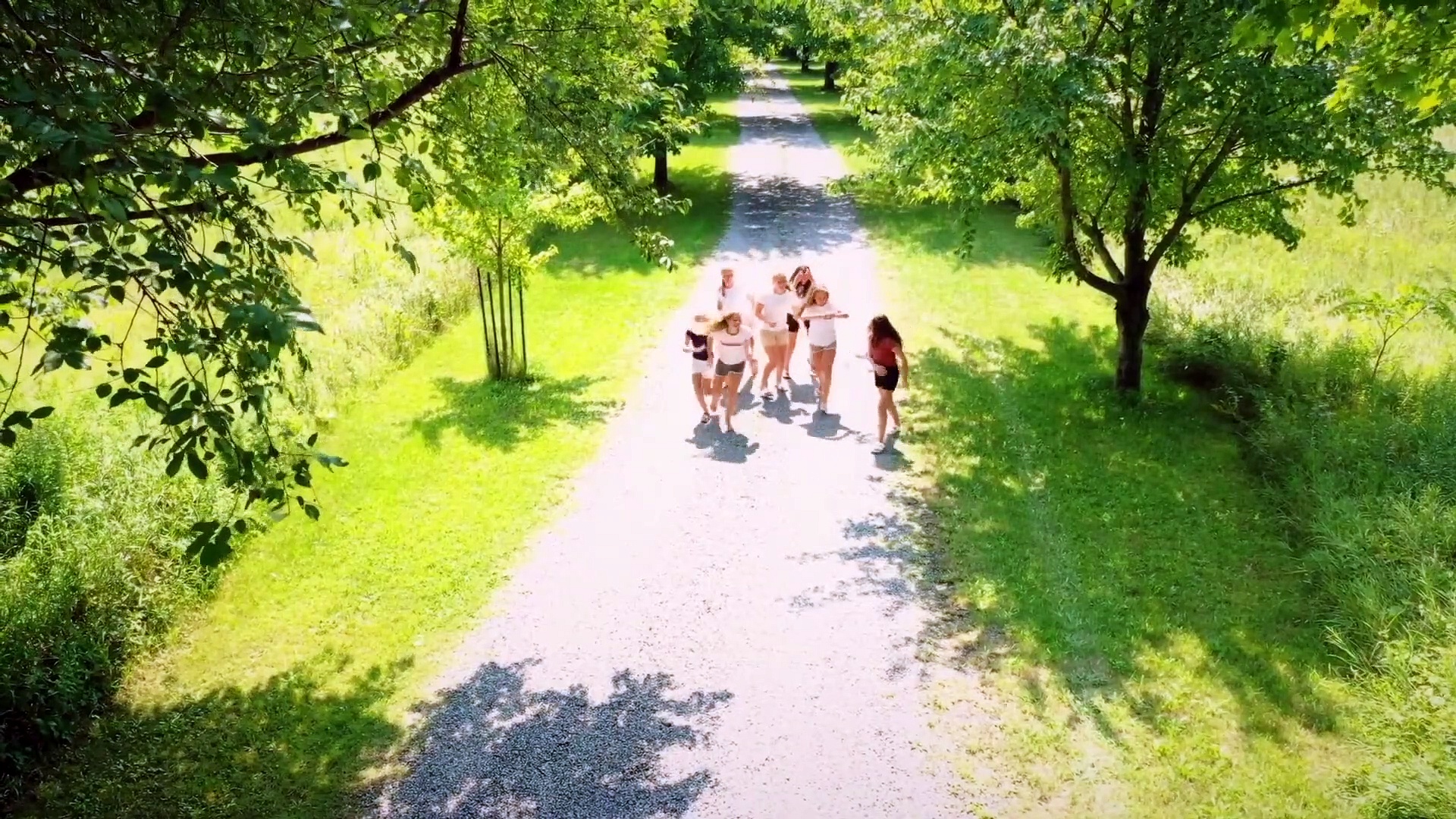 Vimeo Chantilly Bridge Movie