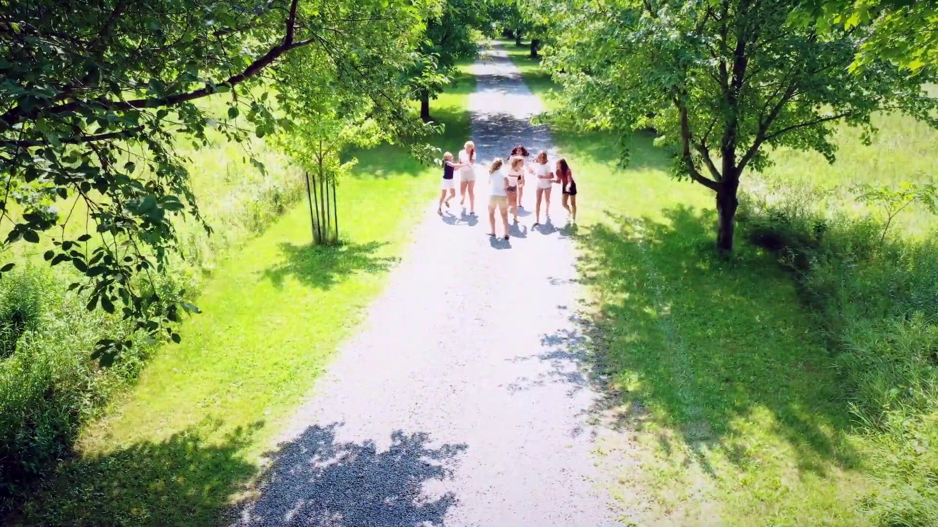 Vimeo Chantilly Bridge Trailer