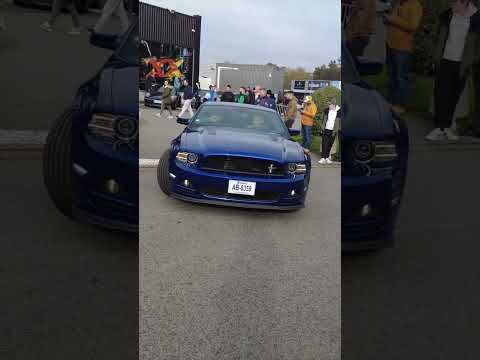 Image YouTube